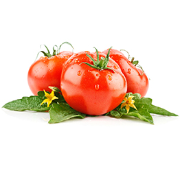 Tomato producers in Italy